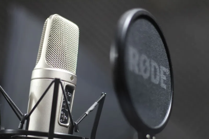 Studio condenser microphone in a shock mount behind a black pop filter