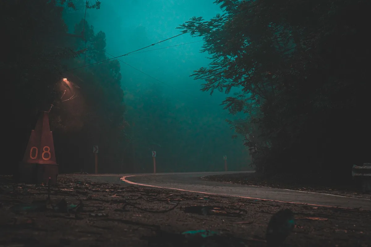 An eerie forest road wrapped in fog under a streetlight, the kind of unresolved, atmospheric visual mystery content depends on