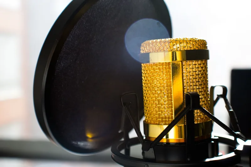 Gold studio condenser microphone in a shock mount behind a black pop filter, window light in the background